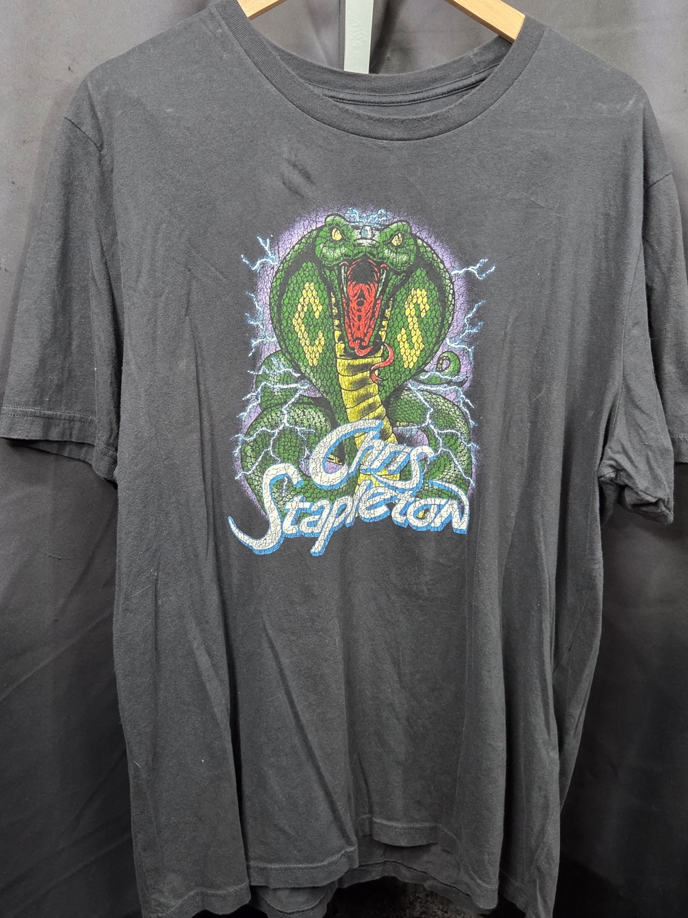 Chris Stapleton Cobra Graphic Print T-Shirt, Black, Size: XXL
